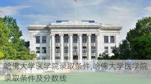 哈佛大学医学院录取条件,哈佛大学医学院录取条件及分数线