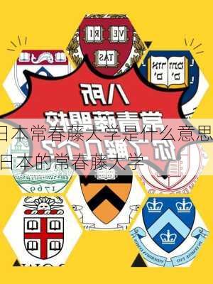 日本常春藤大学是什么意思,日本的常春藤大学