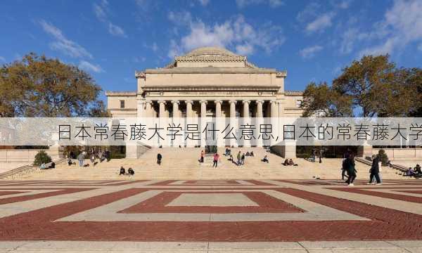 日本常春藤大学是什么意思,日本的常春藤大学