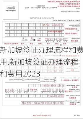 新加坡签证办理流程和费用,新加坡签证办理流程和费用2023