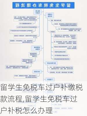 留学生免税车过户补缴税款流程,留学生免税车过户补税怎么办理