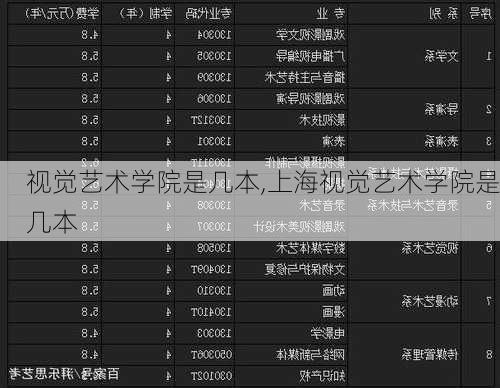 视觉艺术学院是几本,上海视觉艺术学院是几本