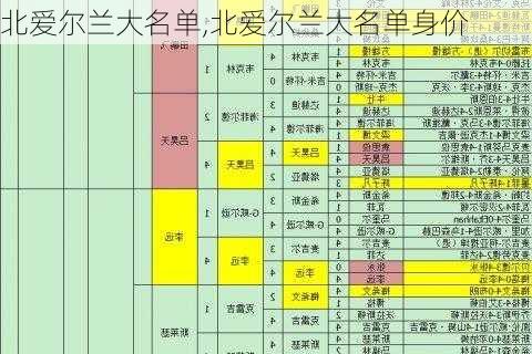 北爱尔兰大名单,北爱尔兰大名单身价