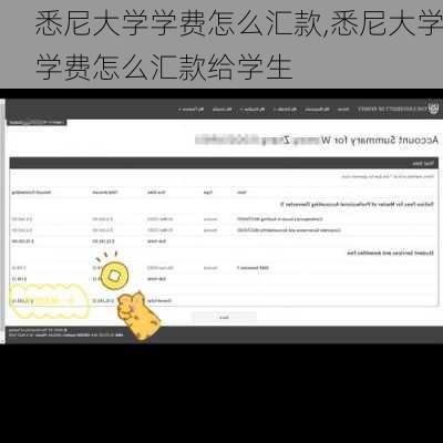 悉尼大学学费怎么汇款,悉尼大学学费怎么汇款给学生