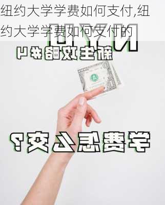 纽约大学学费如何支付,纽约大学学费如何支付的