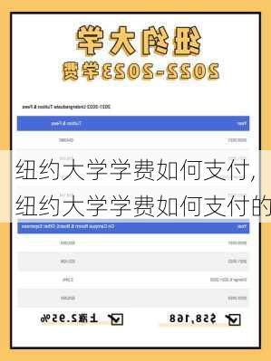 纽约大学学费如何支付,纽约大学学费如何支付的