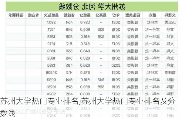 苏州大学热门专业排名,苏州大学热门专业排名及分数线