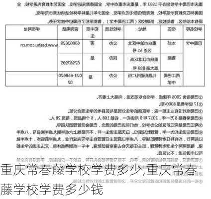 重庆常春藤学校学费多少,重庆常春藤学校学费多少钱