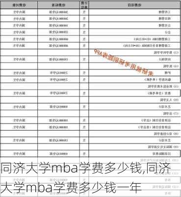 同济大学mba学费多少钱,同济大学mba学费多少钱一年