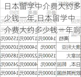 日本留学中介费大约多少钱一年,日本留学中介费大约多少钱一年啊