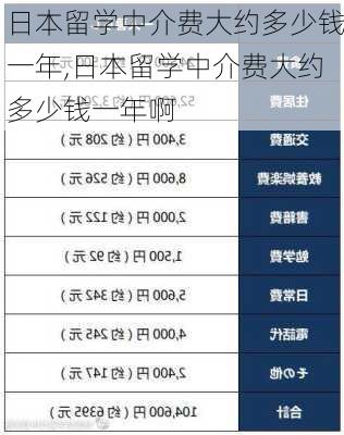 日本留学中介费大约多少钱一年,日本留学中介费大约多少钱一年啊