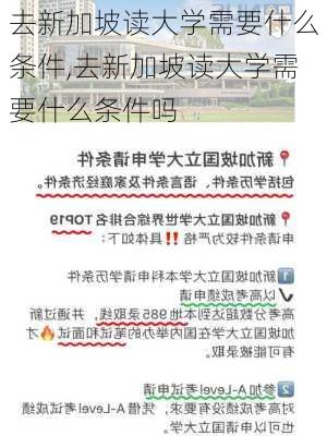 去新加坡读大学需要什么条件,去新加坡读大学需要什么条件吗