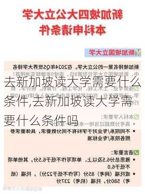 去新加坡读大学需要什么条件,去新加坡读大学需要什么条件吗