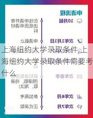 上海纽约大学录取条件,上海纽约大学录取条件需要考什么