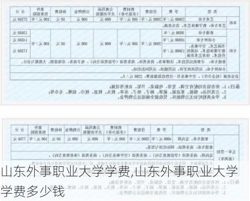 山东外事职业大学学费,山东外事职业大学学费多少钱