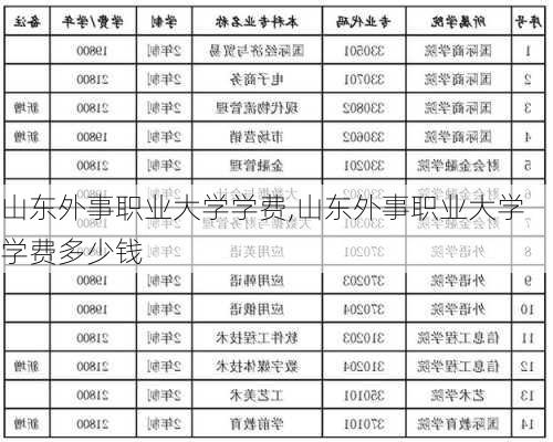 山东外事职业大学学费,山东外事职业大学学费多少钱