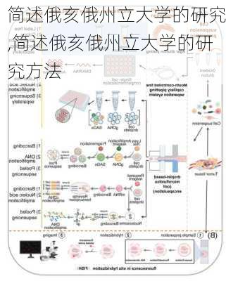 简述俄亥俄州立大学的研究,简述俄亥俄州立大学的研究方法