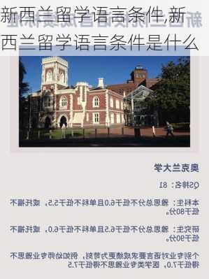 新西兰留学语言条件,新西兰留学语言条件是什么