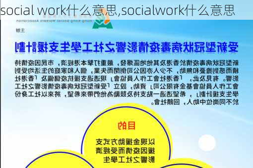 social work什么意思,socialwork什么意思