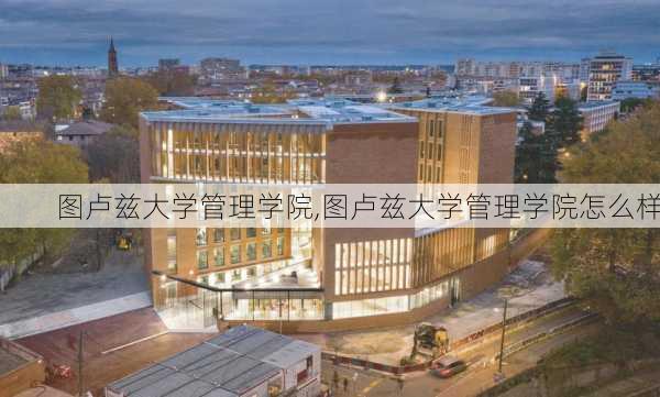 图卢兹大学管理学院,图卢兹大学管理学院怎么样