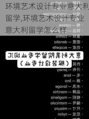 环境艺术设计专业意大利留学,环境艺术设计专业意大利留学怎么样