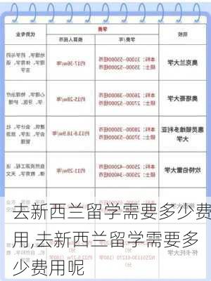 去新西兰留学需要多少费用,去新西兰留学需要多少费用呢