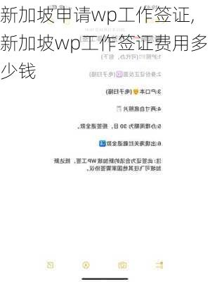 新加坡申请wp工作签证,新加坡wp工作签证费用多少钱