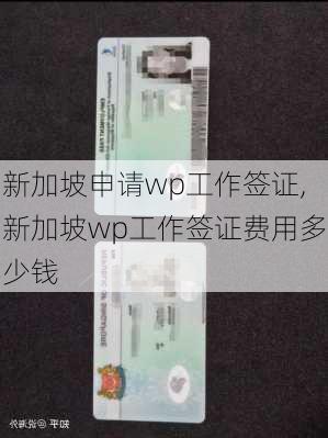 新加坡申请wp工作签证,新加坡wp工作签证费用多少钱