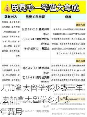 去加拿大留学多少钱一年,去加拿大留学多少钱一年费用