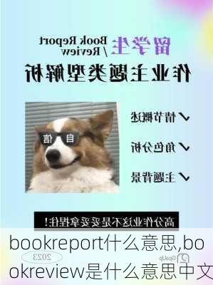 bookreport什么意思,bookreview是什么意思中文