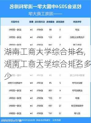 湖南工商大学综合排名,湖南工商大学综合排名多少