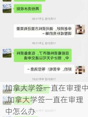 加拿大学签一直在审理中,加拿大学签一直在审理中怎么办