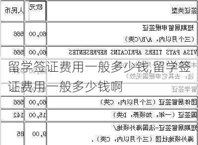 留学签证费用一般多少钱,留学签证费用一般多少钱啊