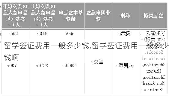 留学签证费用一般多少钱,留学签证费用一般多少钱啊