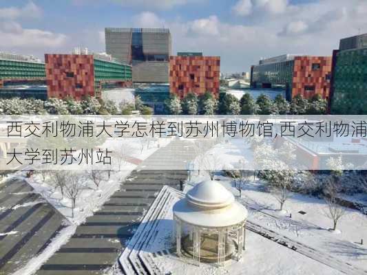 西交利物浦大学怎样到苏州博物馆,西交利物浦大学到苏州站