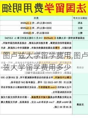 图卢兹大学留学费用,图卢兹大学留学费用多少