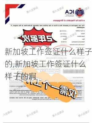 新加坡工作签证什么样子的,新加坡工作签证什么样子的啊