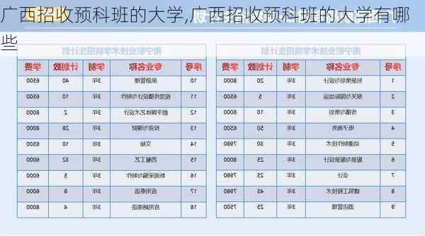 广西招收预科班的大学,广西招收预科班的大学有哪些