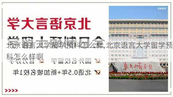 北京语言大学留学预科怎么样,北京语言大学留学预科怎么样啊