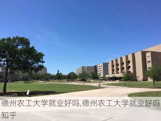 德州农工大学就业好吗,德州农工大学就业好吗知乎