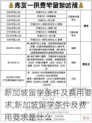 新加坡留学条件及费用要求,新加坡留学条件及费用要求是什么