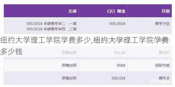 纽约大学理工学院学费多少,纽约大学理工学院学费多少钱