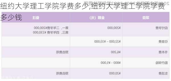 纽约大学理工学院学费多少,纽约大学理工学院学费多少钱