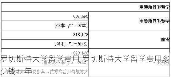 罗切斯特大学留学费用,罗切斯特大学留学费用多少钱一年