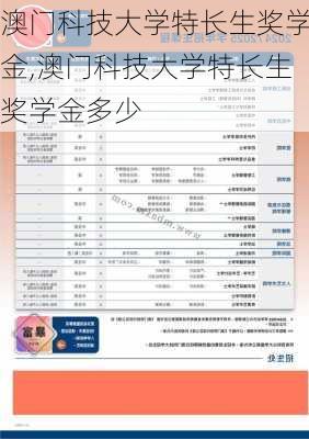 澳门科技大学特长生奖学金,澳门科技大学特长生奖学金多少