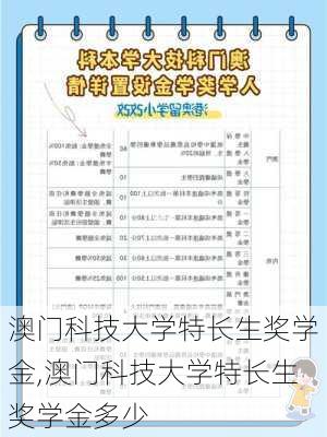 澳门科技大学特长生奖学金,澳门科技大学特长生奖学金多少