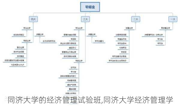 同济大学的经济管理试验班,同济大学经济管理学