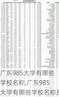 广东985大学有哪些学校名称,广东985大学有哪些学校名称是