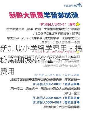 新加坡小学留学费用大揭秘,新加坡小学留学一年费用