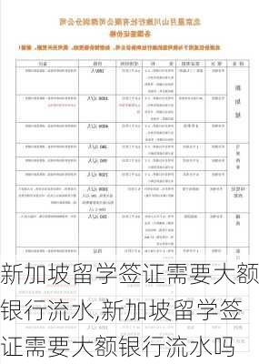 新加坡留学签证需要大额银行流水,新加坡留学签证需要大额银行流水吗